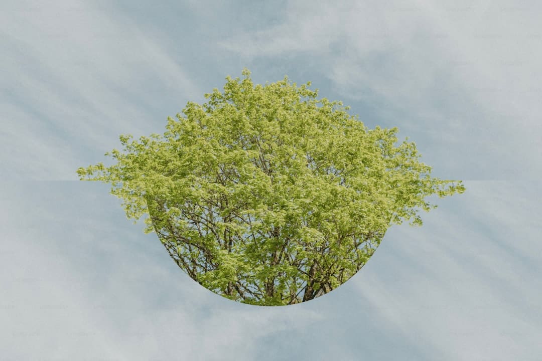 主力对主力 全新阵型暖心归来